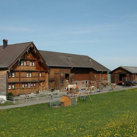 Ferienwohnung Bruelisauer Экстерьер фото